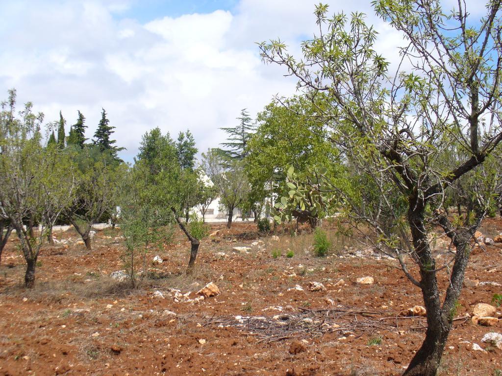 Trullo Riccardo Villa Ostuni Bilik gambar