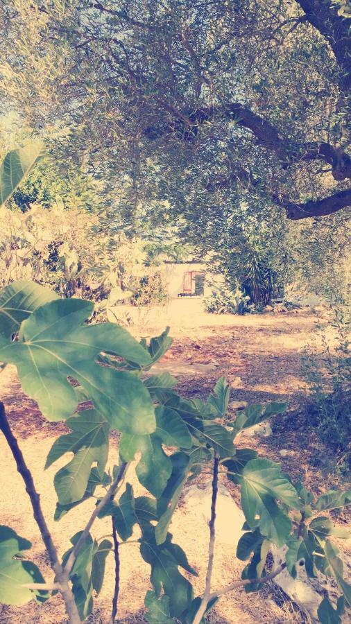 Trullo Riccardo Villa Ostuni Luaran gambar